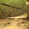 Trail Bridge