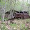 North Fork of the White, Abandoned cabin and car