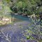 North Fork of the White, Across from Blair Bridge Access, Looking downstream