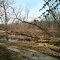 Rickett's Lake
