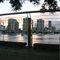 Brisbane Evening from New Farm
