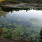 Disused Quarry, Daisy Hill