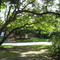 Phil's Place somewhere at The Gap