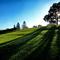 Indooroopilly Island Park