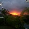 Arana sunrise