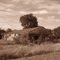 Abandoned