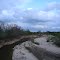 Bosque river