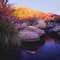 Oasis-Borrego Springs Ca