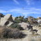 Borrego Springs, California