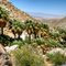 Oasis at Maidenhair Falls