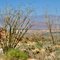 Borrego Springs from Hellhole Canyon Trail