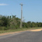 cereals on road