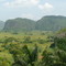 viniales couba