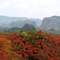 Pinar del Rio 2006