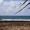 Caribe, en las costas de Artemisa