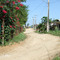 village (approx location)