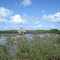 Flamingos auf Caya Coco