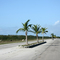 Cayo Coco