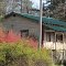 Red quince, green roof