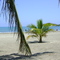 Manzanillo de Cuba au Marea Del Portillo