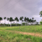 Sagua la Grande