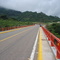 Puente Zapotlanejo