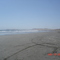 El plallon