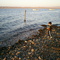 pescando en el rincon