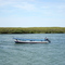 ESTERO