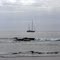 Baja,on the Pacific coast near Abreojos