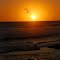 Sunset and pelicans