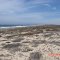 Massive beachfront property for sale