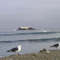 La Plana Isla Natividad B.C.S>
