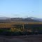 View of the Sierra la Laguna Biosphere Reserve as seen from the road to the park