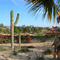Las Brisas Barrio