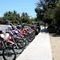 Iron horses outside La Cantina