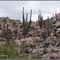 Desierto del Vizcaino, BC Sur
