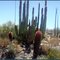 Valle de Los Sirios, Baja Califnia Sur, Mex