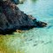 Hidden Cove