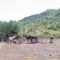 Baja California,last rites for a fallen comrade,wild burros