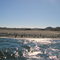 BAHIA SAN CARLOS,B.C.S.