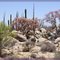 el Color del Desierto II, Baja Sur