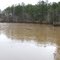 Pond at Line Creek, Peachtree City, Ga