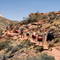 Llama Trekking Rainbow Trail (2006)