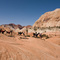 Llama Trekking Rainbow Trail