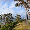 Swan River