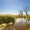 Marsh, just outside Omro State Wildlife Management Area - Burton, MN - September 9th, 2011