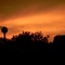Sunset, Spring Grove.