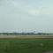 Hardwick