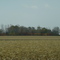 Prairie Autumn